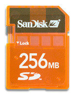 Карты памяти - Sandisk Gaming Secure Digital 256Mb