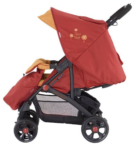 Chipolino Allegra