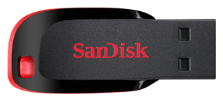 USB Flash drive - Sandisk Cruzer Blade 2Gb